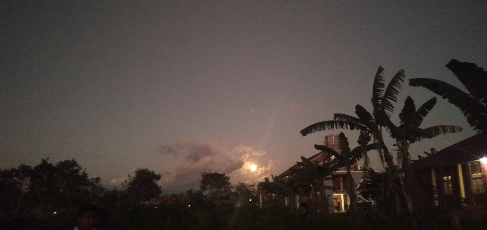 CINTA ITU HIDUP