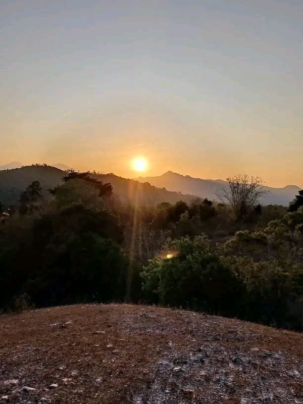 S  E  N  J  A