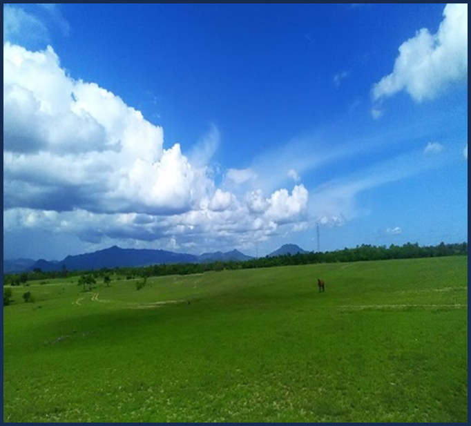 MENYUSURI PADANG POKEKANO