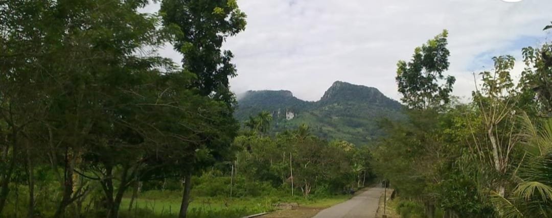 SEINDAH BUKIT FAFINESU